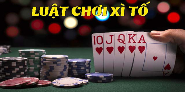 Luật cơ bản chơi xì tố GO88 hấp dẫn nhất